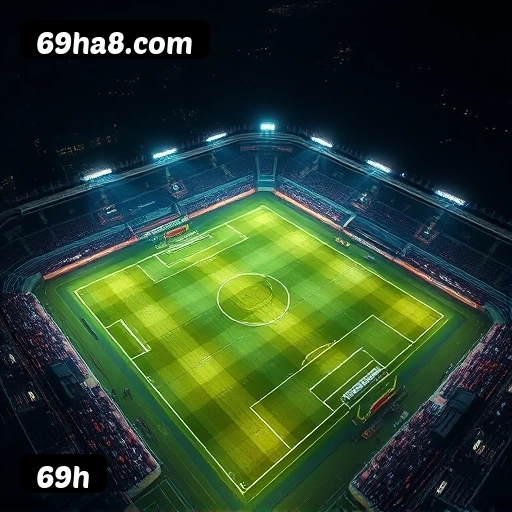 Níveis do programa VIP da 69h